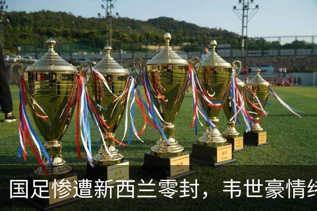 国足惨遭新西兰零封，韦世豪情绪失控，邵佳一及时干预